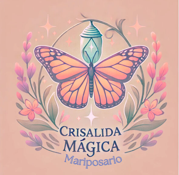 Crisalida Magica